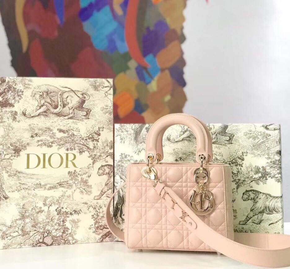 Túi Dior cốp hộp vuông cao cấp